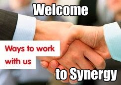 Synergy Business Consulting (Islamabad, Pakistan ...